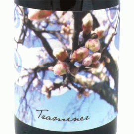 トラミーナー[2022]ユーディト・ベック【オーストリア　自然派　オレンジワイン】