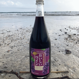 山葡萄スパークリング[2020]KIYO wines【日本　スパークリングワイン 赤】